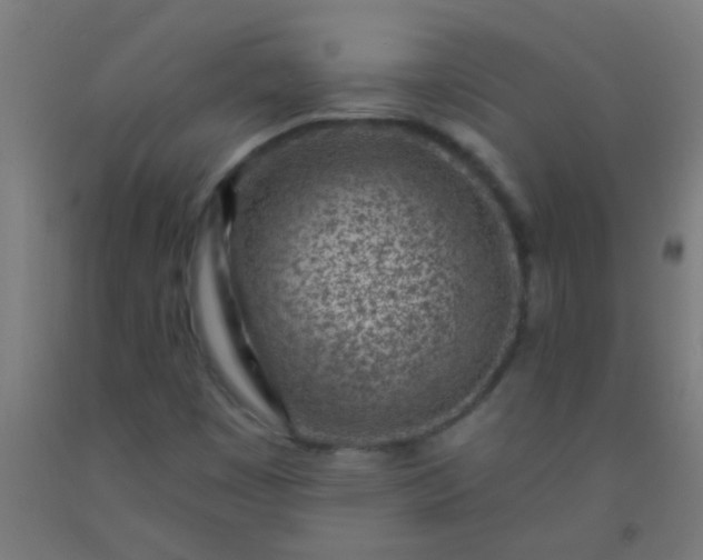 X0000092301449200709281317