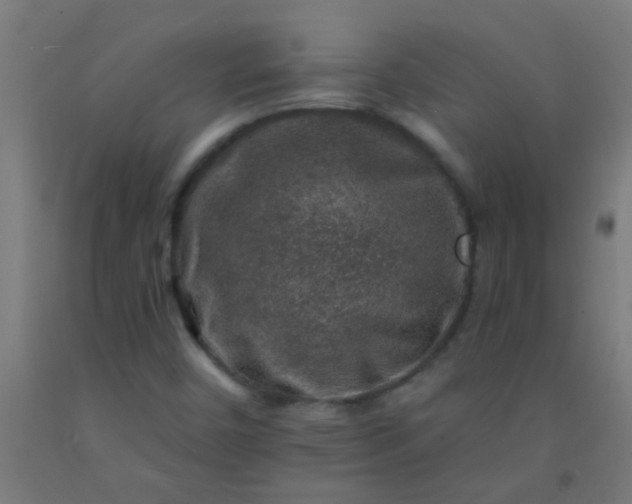 X0000092301450200709281317