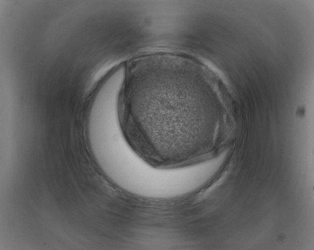 X0000092301453200709281316