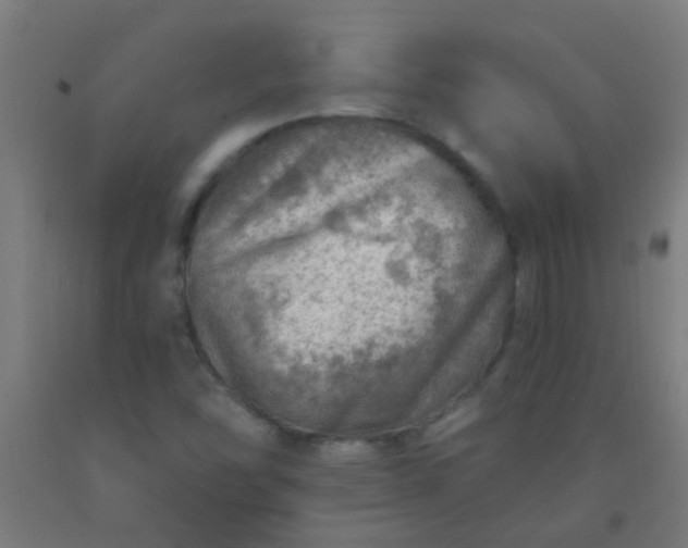 X0000092301454200709281316