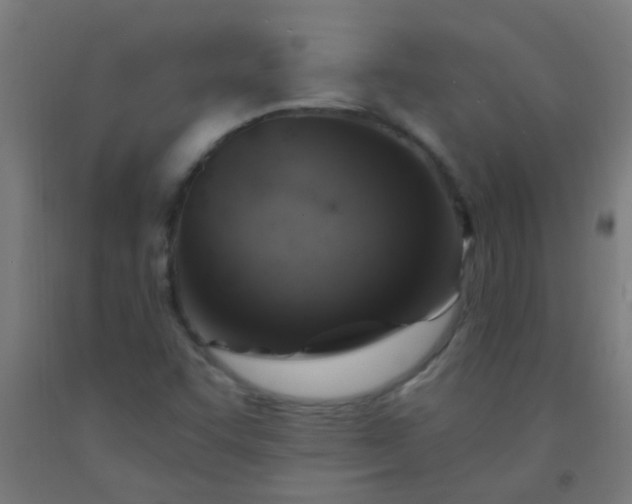 X0000092301455200709281316