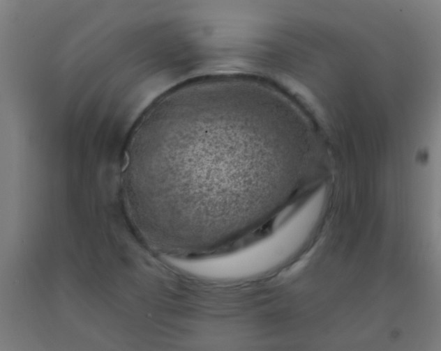 X0000092301457200709281316