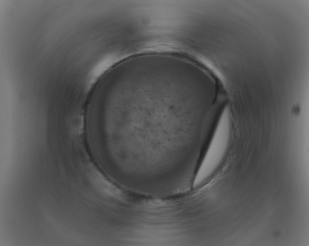 X0000092301459200709281316