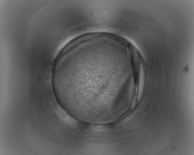 X0000092301460200709281316