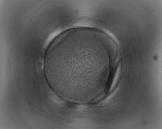 X0000092301461200709281316