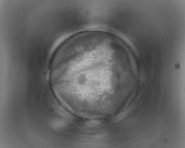 X0000092301462200709281316