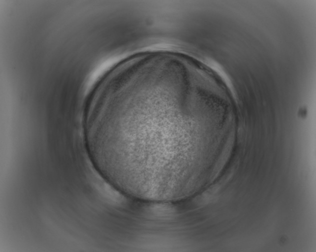 X0000092301464200709281316