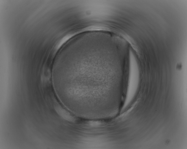 X0000092301465200709281316