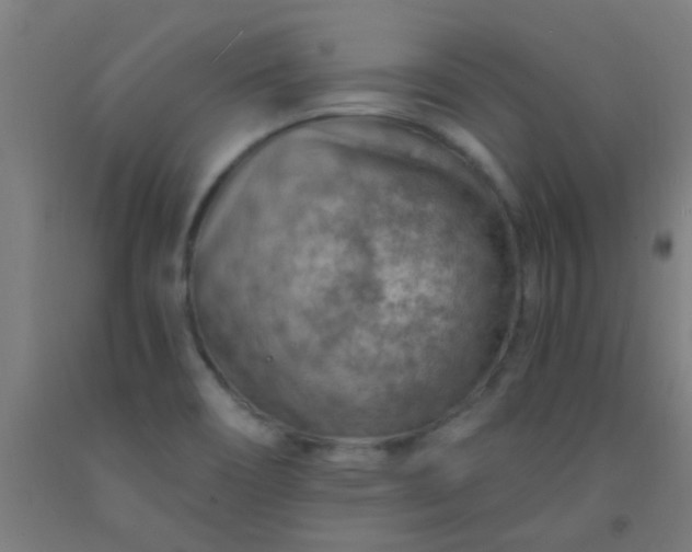 X0000092301466200709281316