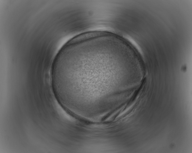 X0000092301468200709281316