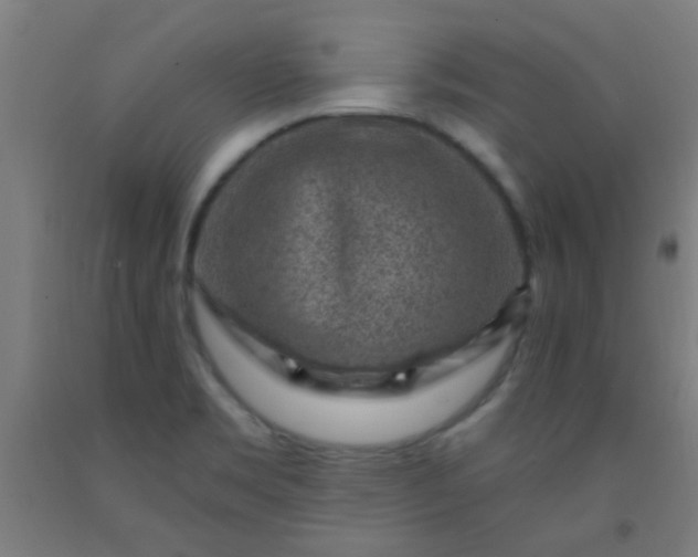 X0000092301469200709281316