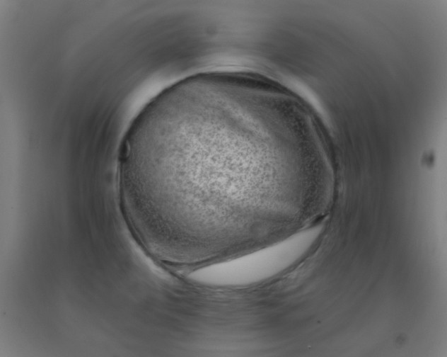 X0000092301472200709281316