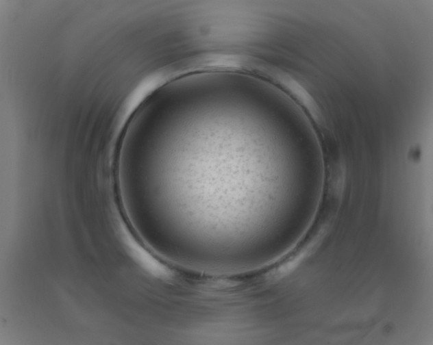 X0000092301475200709281316