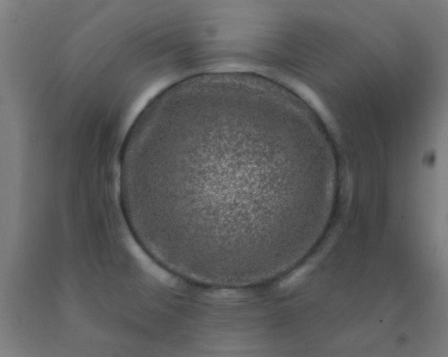 X0000092301476200709281316