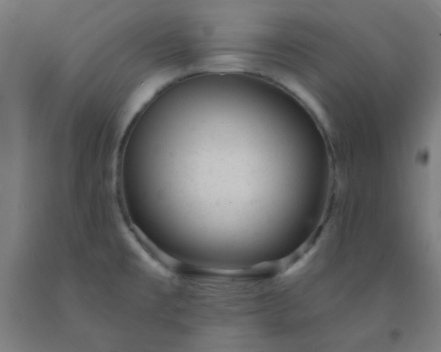 X0000092301477200709281316