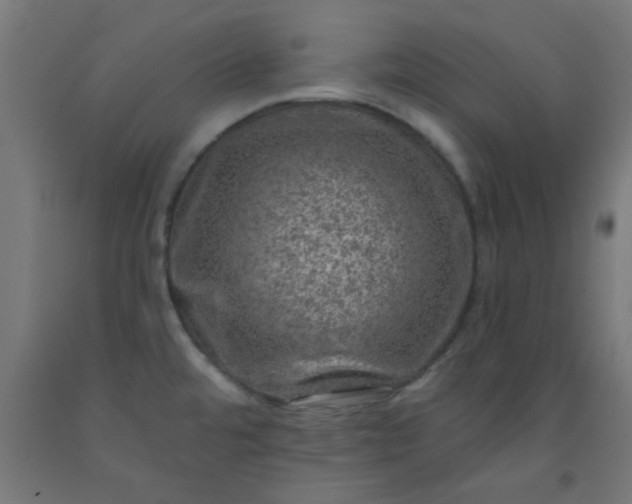 X0000092301480200709281316