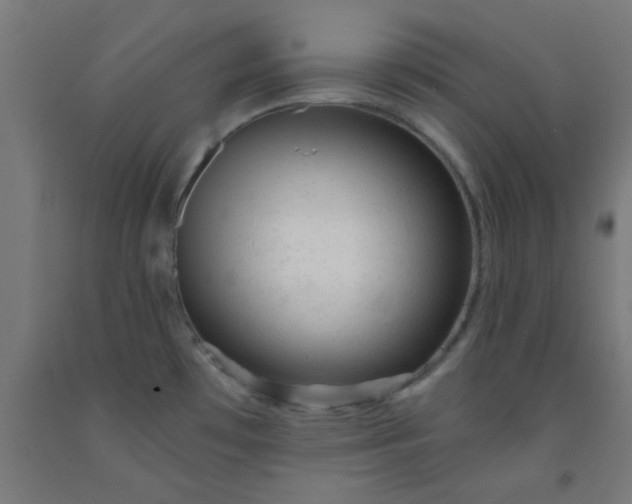 X0000092301481200709281316