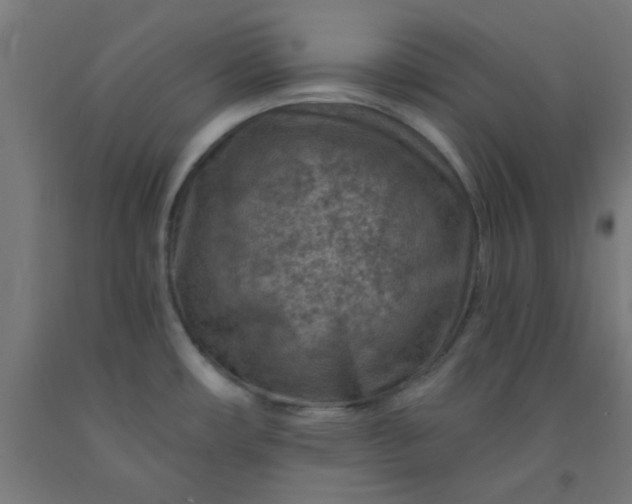 X0000092301482200709281316