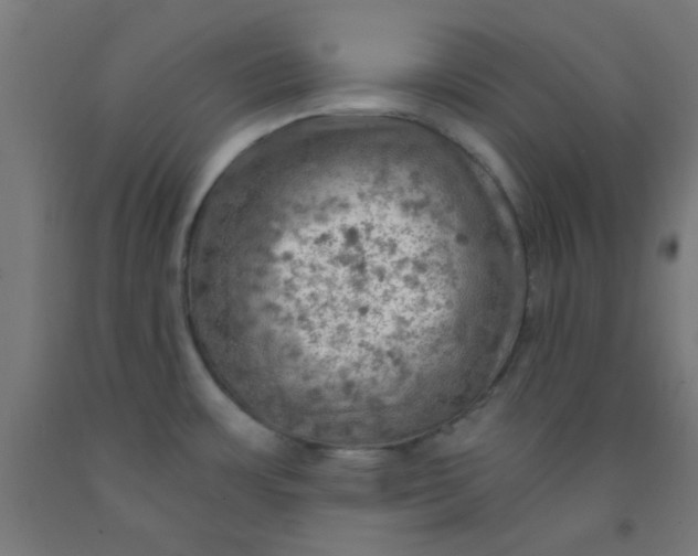 X0000092301483200709281316