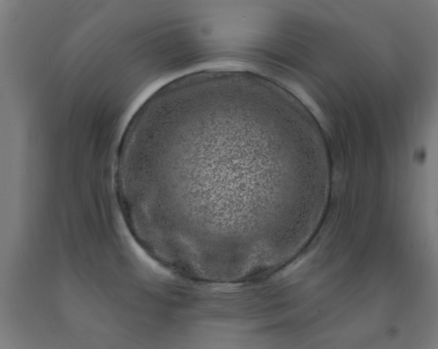 X0000092301484200709281316