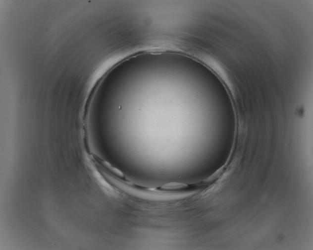 X0000092301485200709281316
