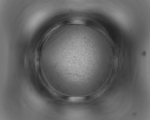 X0000092301487200709281316