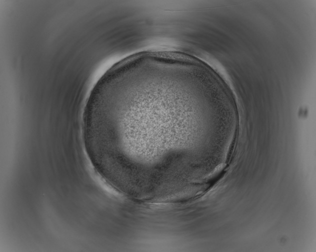 X0000092301488200709281316