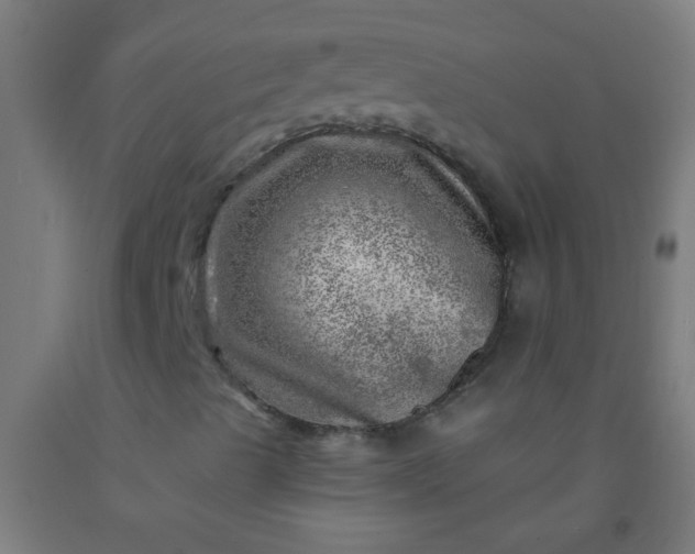 X0000092301489200709281315