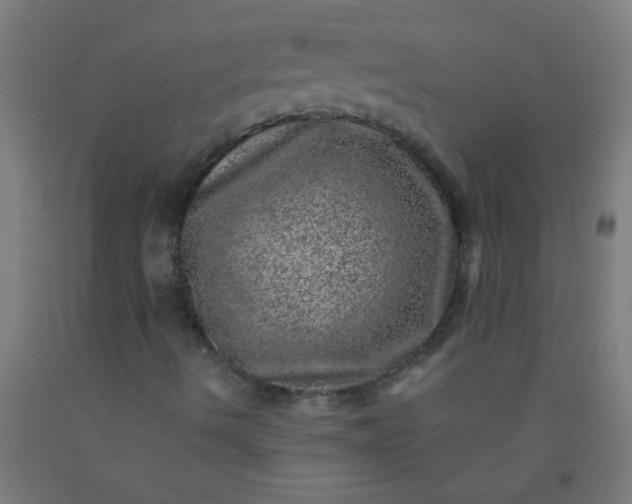 X0000092301490200709281315