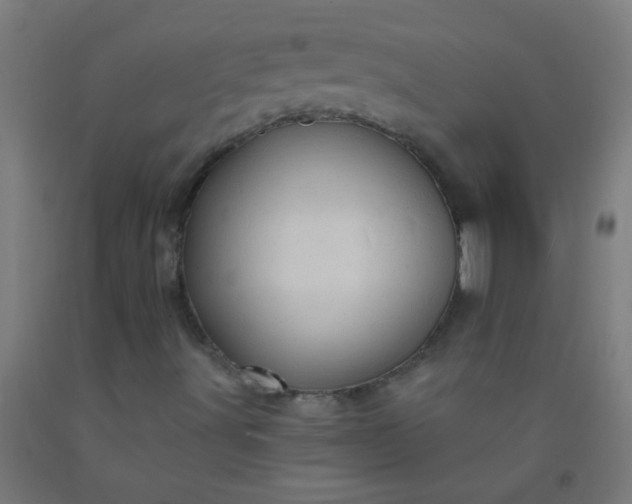 X0000092301491200709281315