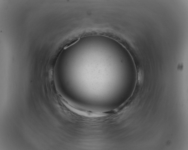 X0000092301492200709281315