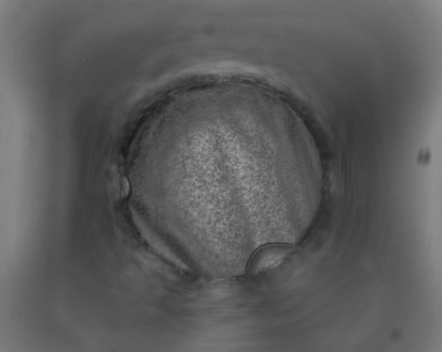 X0000092301493200709281315