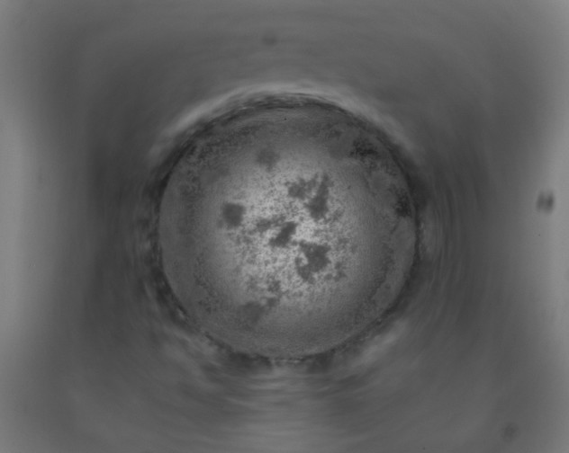 X0000092301494200709281315