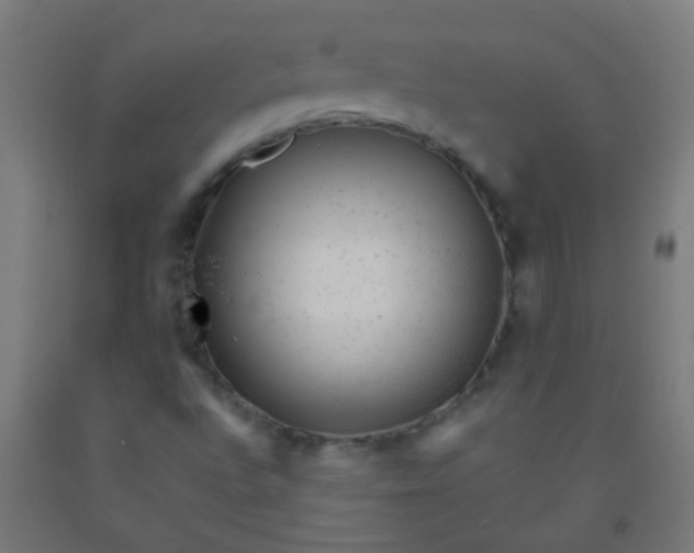 X0000092301496200709281315