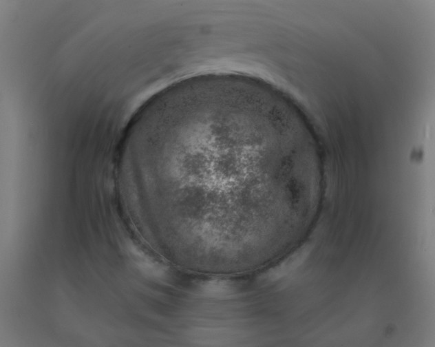 X0000092301497200709281315