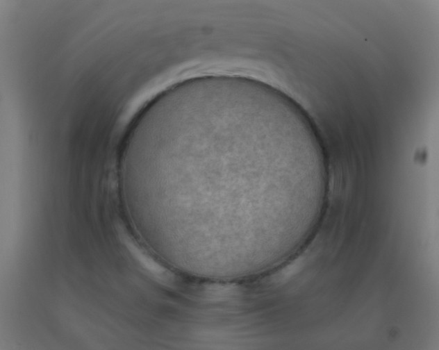 X0000092301498200709281315