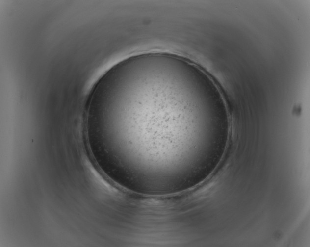X0000092301500200709281315
