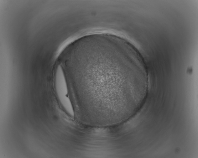 X0000092301501200709281315