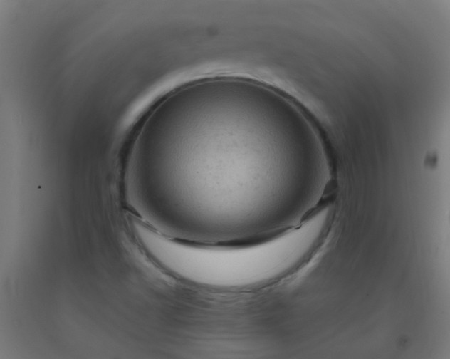 X0000092301502200709281315