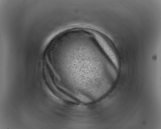 X0000092301503200709281315