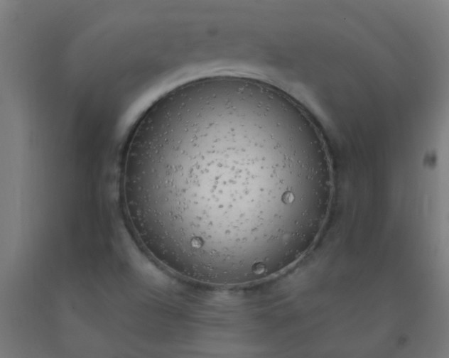 X0000092301504200709281315