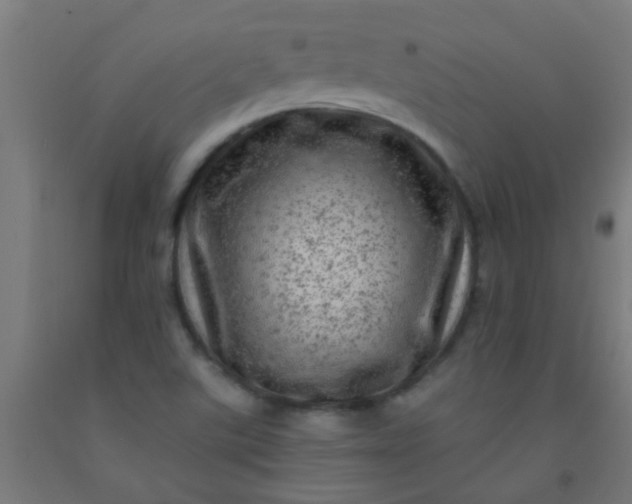 X0000092301507200709281315