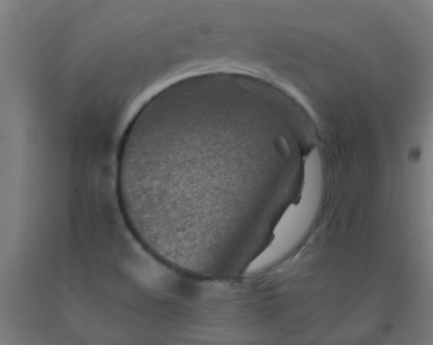 X0000092301508200709281315