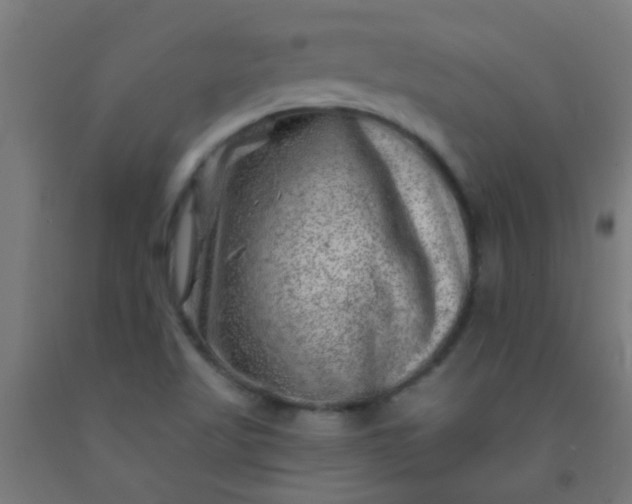 X0000092301509200709281316