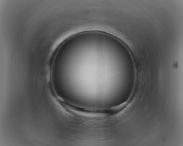 X0000092301510200709281316