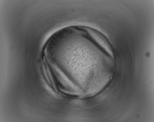 X0000092301511200709281316