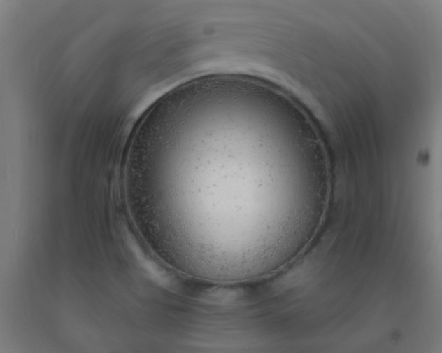 X0000092301513200709281316