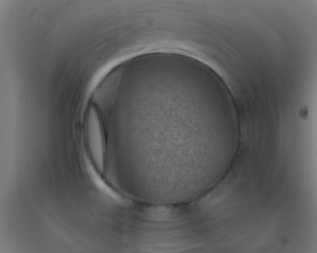 X0000092301515200709281316