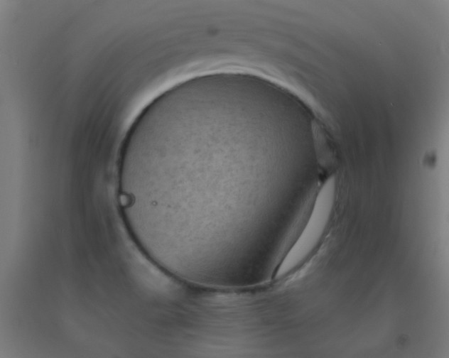 X0000092301518200709281316