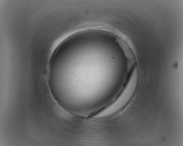 X0000092301520200709281316